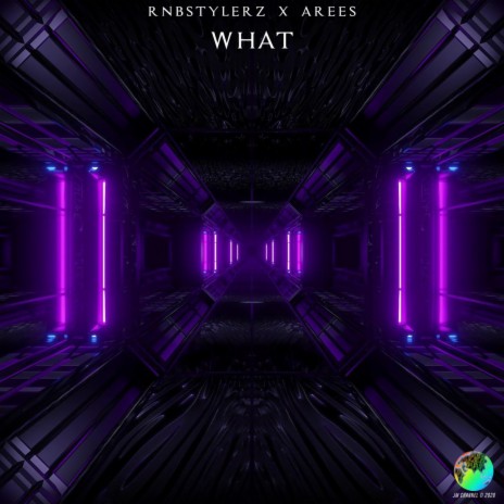 WHAT (Extended Mix) ft. AREES | Boomplay Music
