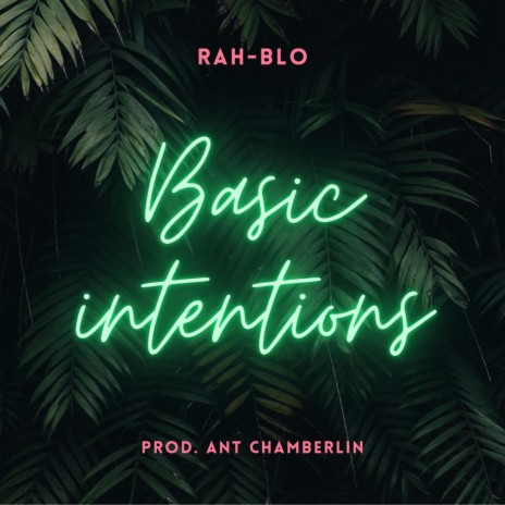 Basic Intentions | Boomplay Music