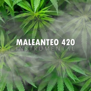 Maleanteo 420