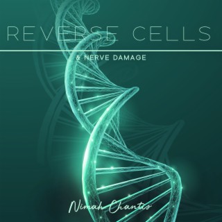 Reverse Cells & Nerve Damage: 528 Hz Miracle Healing Frequency, Recover Whole Body