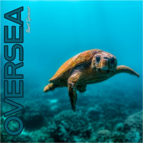 Oversea | Boomplay Music