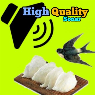 Sonar Pemanggil Walet High Quality