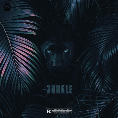 JUNGLE | Boomplay Music