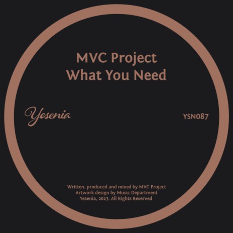 What You Need (Disco Gospel Mix)