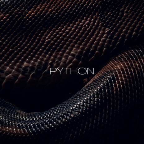 PYTHON | Boomplay Music
