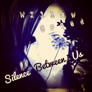 Silence Between Us