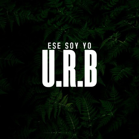 Ese Soy Yo | Boomplay Music