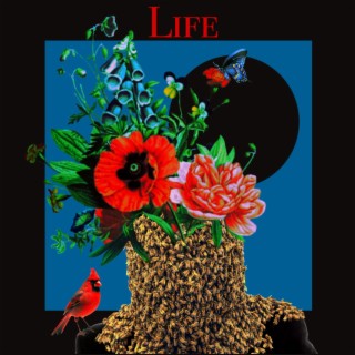 Life (Single Version)