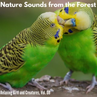 Nature Sounds from the Forest - Relaxing Bird and Creatures, Vol. 08