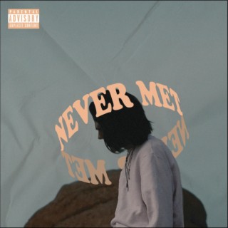Never Met lyrics | Boomplay Music