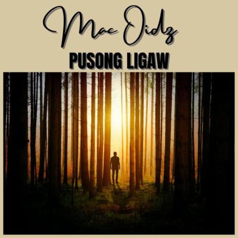 Pusong Ligaw | Boomplay Music