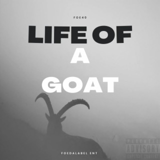 Life Of A Goat