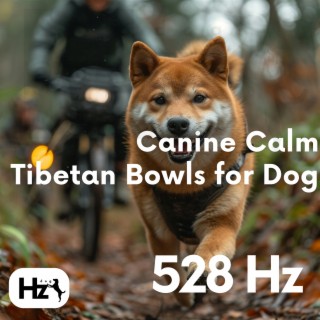 528 Hz Canine Calm: Tibetan Bowls for Dogs