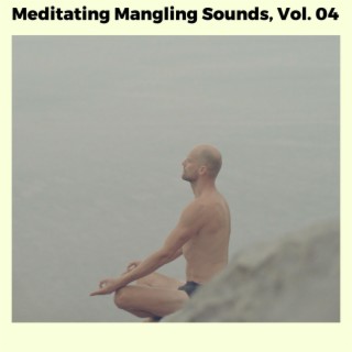 Meditating Mangling Sounds, Vol. 04