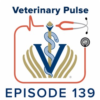 Dr. Christy Corp-Minamiji on her non-traditional path in veterinary medicine and how she sees her role as it relates to diversity, and inclusion
