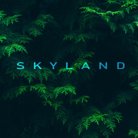 Skyland | Boomplay Music