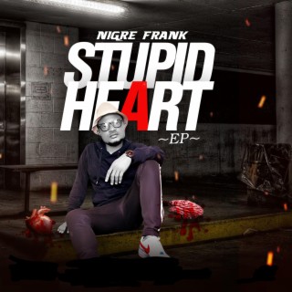 Stupid heart lyrics | Boomplay Music