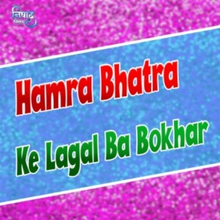 Hamra Bhatra Ke Lagal Ba Bokhar