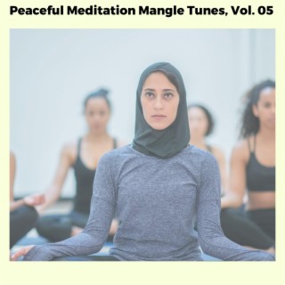 Peaceful Meditation Mangle Tunes, Vol. 05