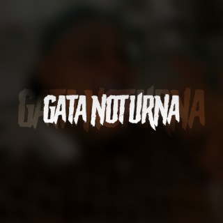 Gata Noturna