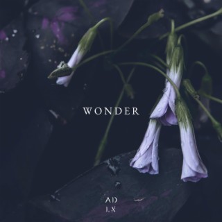 Wonder