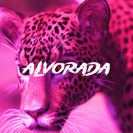 ALVORADA GANG | Boomplay Music