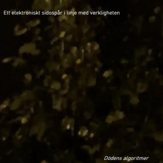 Dödens algoritmer