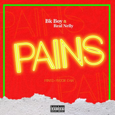 Pains (feat. Real Nelly) | Boomplay Music