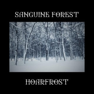 Hoarfrost