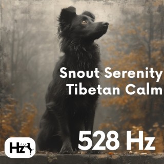 Snout Serenity: 528 Hz Tibetan Calm