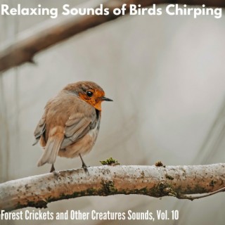 Relaxing Sounds of Birds Chirping - Forest Crickets and Other Creatures Sounds, Vol. 10