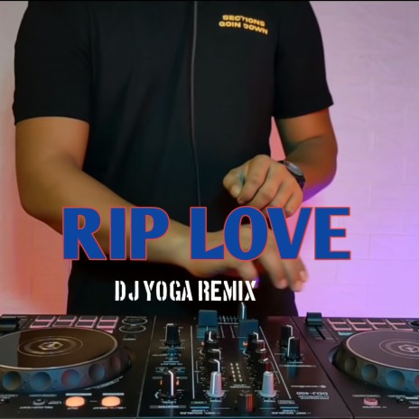 RIP LOVE (Remix) | Boomplay Music