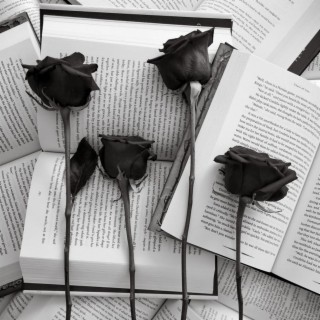 Black Roses