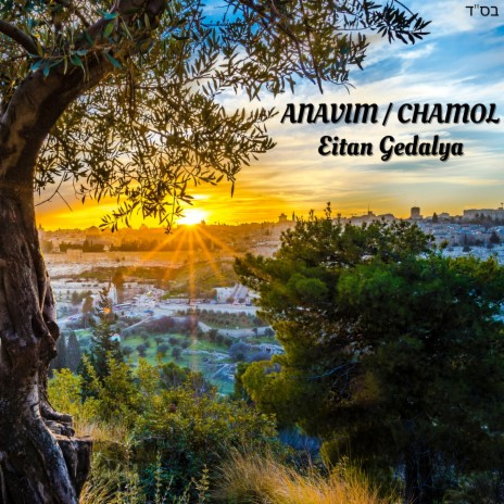 Anavim / Chamol (Acapella) | Boomplay Music