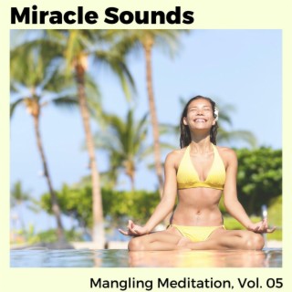 Miracle Sounds - Mangling Meditation, Vol. 05