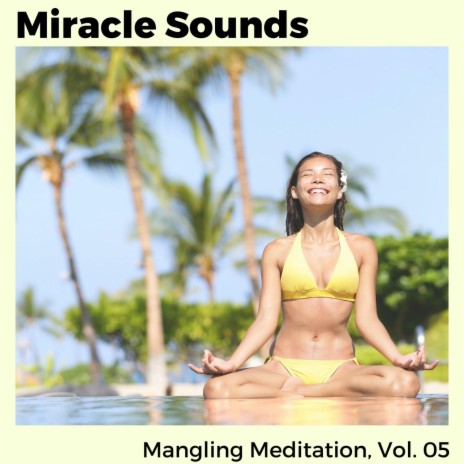 Divine Soul Meditation | Boomplay Music