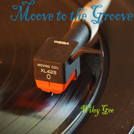 Moove to the Groove | Boomplay Music