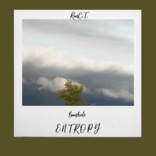 Entropy