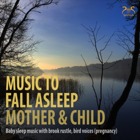 Music to Sleep - Baby Sleep Music ft. Torsten Abrolat & SyncSouls | Boomplay Music