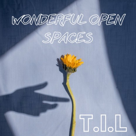 Wonderful Open Spaces | Boomplay Music