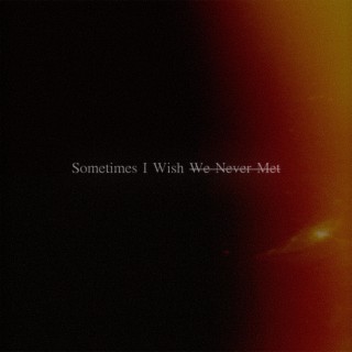 Sometimes I Wish We Never Met