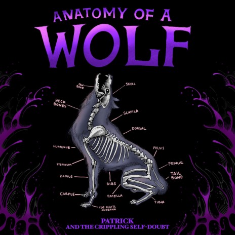 anatomy of a wolf