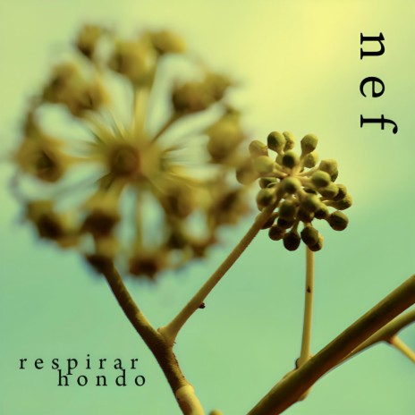 Respirar Hondo (Tecnoman Sf Remix) ft. Tecnoman Sf