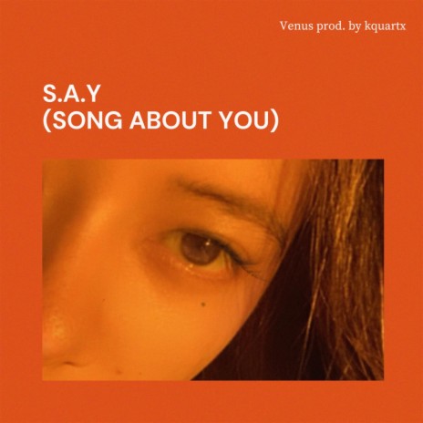 S.A.Y (Song about you) | Boomplay Music