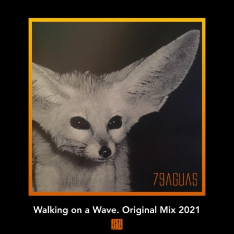 Walking on a Wave Original Mix (Original Mix) | Boomplay Music