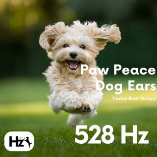 528 Hz Paw Peace: Dog Ears Tibetan Bowl Therapy