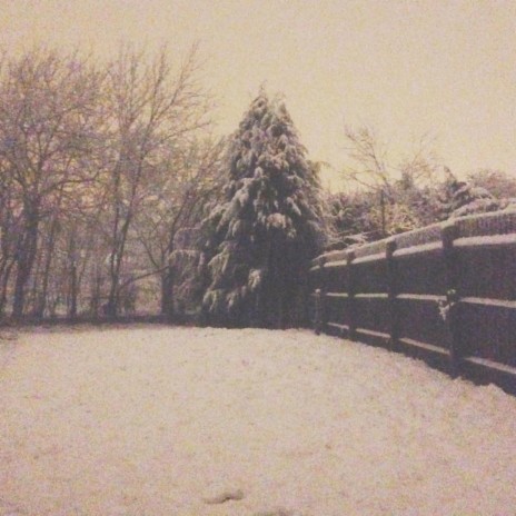 Snow Tree (feat. Vecetti)