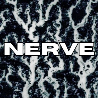 Nerve