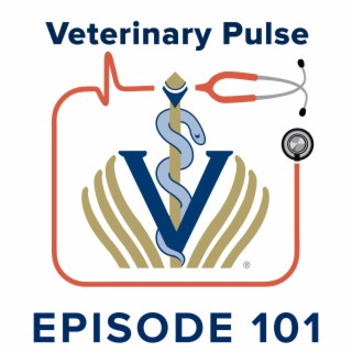 Vets4Vets® - You are not alone, peer-to-peer support in the age of COVID-19 with Dr. Bree Montana