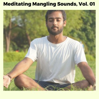 Meditating Mangling Sounds, Vol. 01